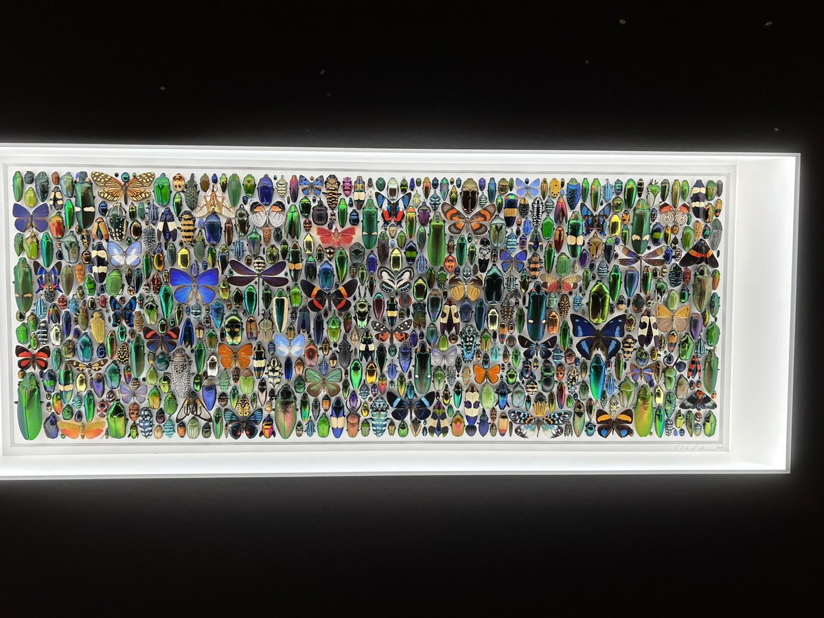 THE most amazing #science #art exhibit <a href="/sciencemuseummn/">Science Museum of Minnesota</a> .  But also left me feeling weirdly sad &amp; wanting to protect the planet even more