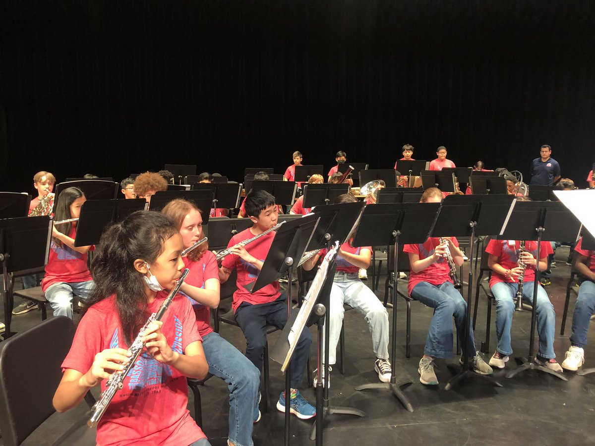 DMS Viking Band tweet media