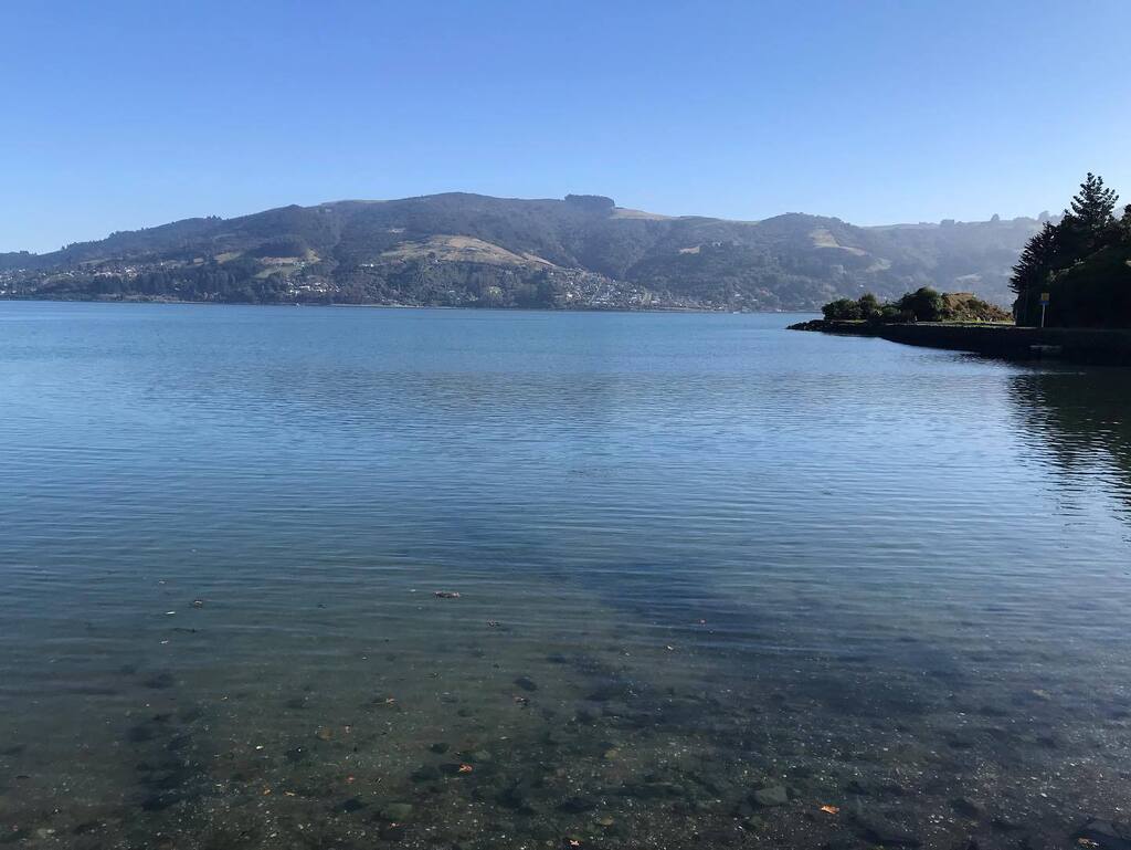 ejugginz's tweet photo. Autumn walk keeping it local #dunedinnz #autumn #newzealand https://t.co/mrmXKOCfQr https://t.co/1HeVtE1Ttu