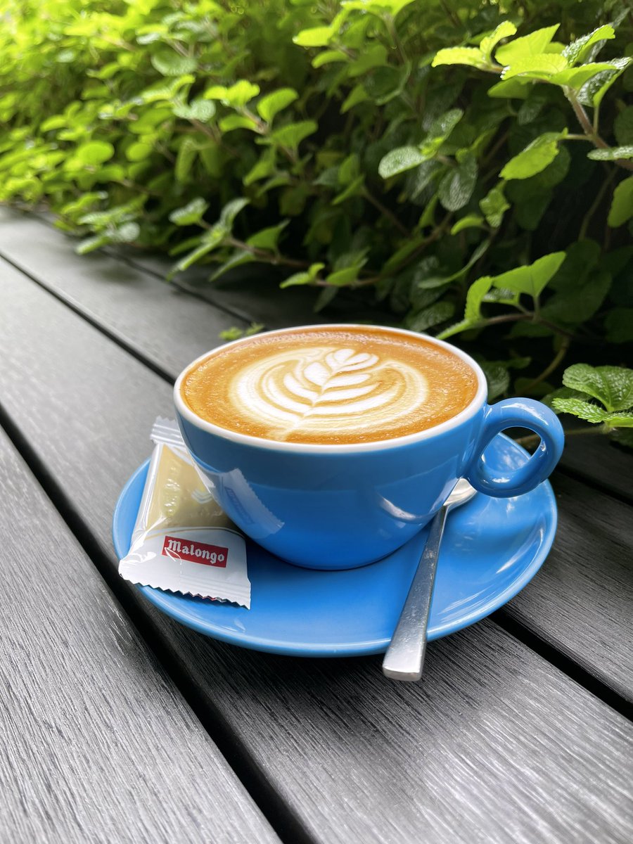 JimmyMonkeyCafe's tweet photo. 🧘🏻‍♀️ Take a breather from the madness of our epic JM 12th Anniversary deals, chill out with a solid cuppa at #JimmyMonkey, and start planning what to tackle for the coming weekdays at our 𝗣𝗟𝗤 and 𝗢𝗻𝗲-𝗡𝗼𝗿𝘁𝗵 outlets. 🐵

#cafe #slayerespresso #coffee #12years #birthday https://t.co/PXYFaaPHQU