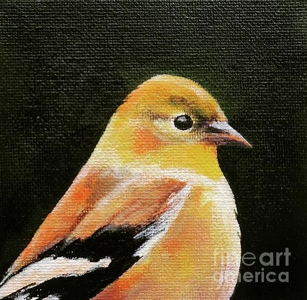 LisaDionne19's tweet photo. New artwork for sale! - "Goldfinch II" - https://t.co/Pm4T56qdhk @fineartamerica https://t.co/E9M4ejc9yU