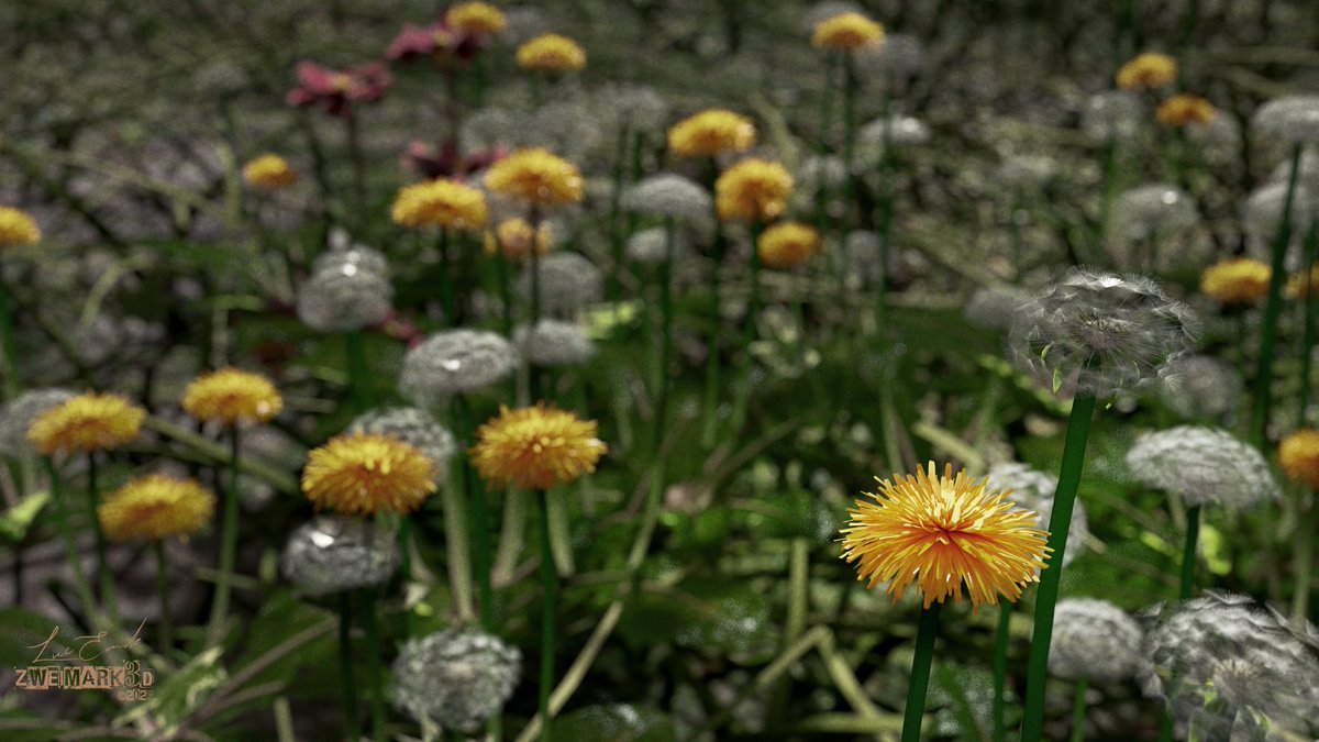 Spring is here!