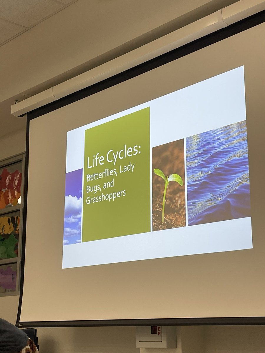 BCarpenterCRE's tweet photo. We had Suzanna Dooling, master naturalist visit to talk to second grade about insects and their life cycles. The children were involved in dramatizations of the stages. #CRELeads #LISDOne https://t.co/EDjopYsklv