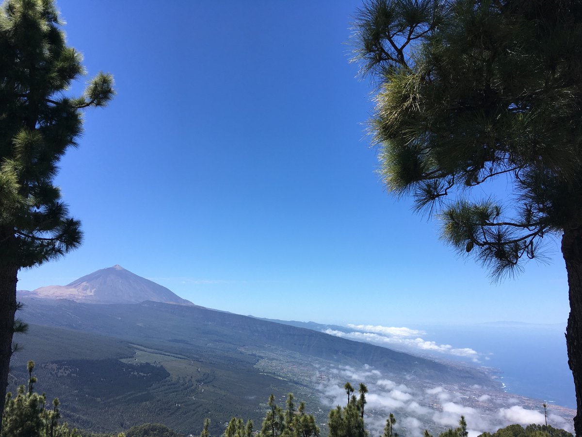 MrADye1's tweet photo. Great first day with 
@TeesEarthEnv
 students getting to grips with the amazing geology and ecology of Tenerife with @beccawinnie 
@IgnacioGarciaGT https://t.co/b0r3GudmLB
