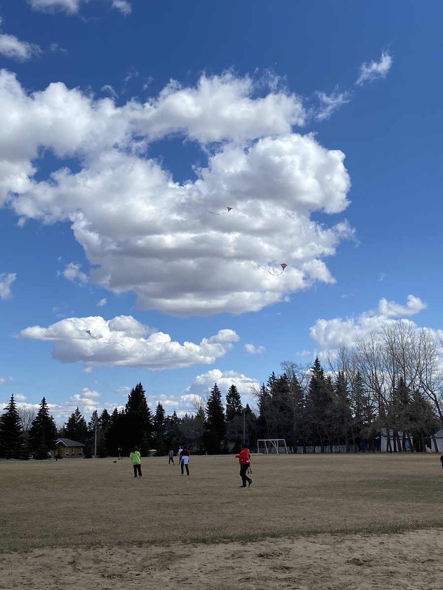 Beautiful day for flying kites 🪁 @WaldheimSchool #pssdprideandjoy