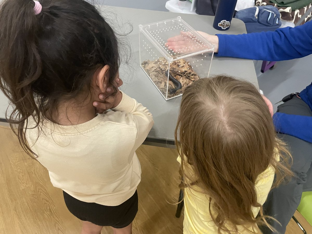 msmaxwell20's tweet photo. @KansasCityZoo visited us at @MaplewoodElemen today! We learned so much &amp; had fun, thank you!
@NickpettitNKC @MrsJoyce_PreK https://t.co/ve6JrpXvaE