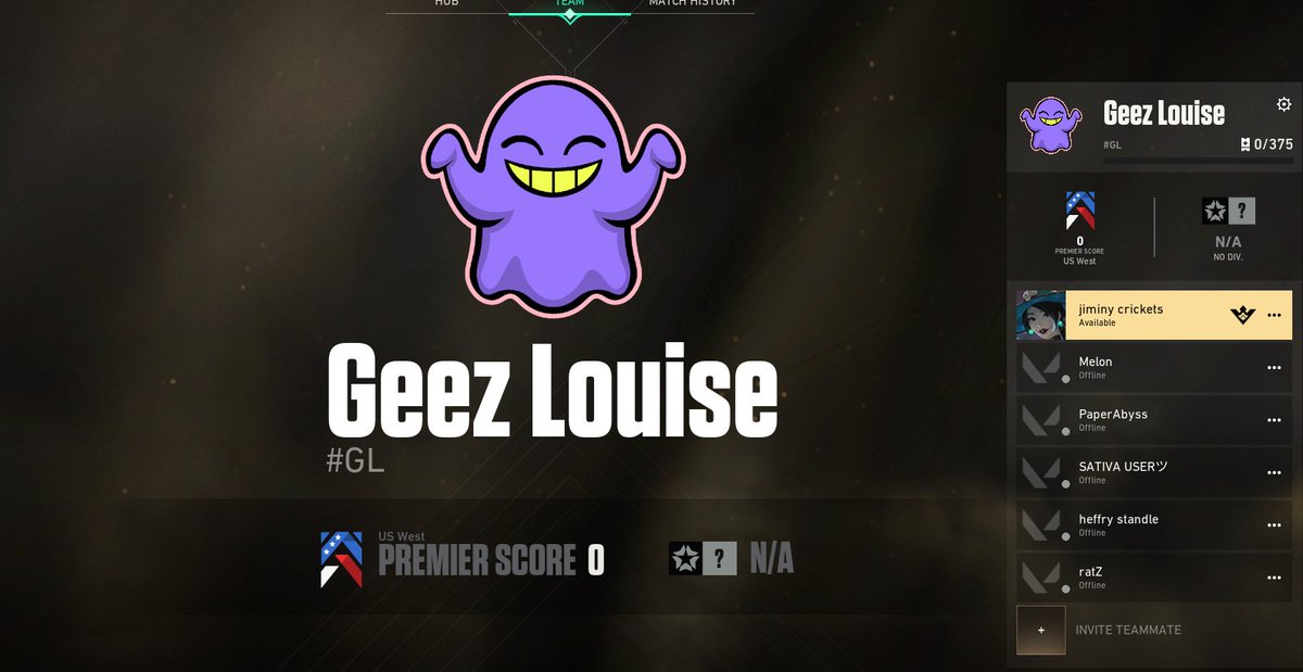 nobitchesof's tweet photo. Due to naming restrictions, we will be playing under the name "Geez Louise" in Premiere. If you happen to play against us we encourage you to forfeit, as we will be winning all of our matches. https://t.co/zlICm5IVqU