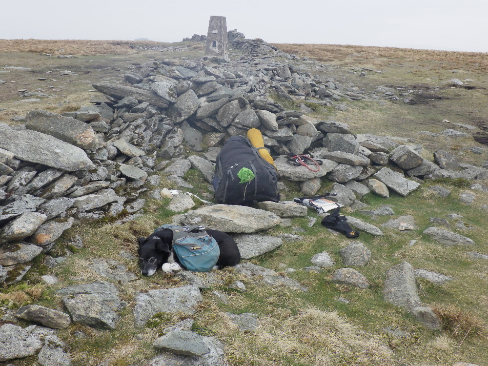 KnipeMike's tweet image. Then there was a short day over High Street and Gray Crag as the rain crept in. LTD suggested a spot behind a drumlin out of the wind. It was OK. Lorra slugs...  good radio reception and a little bit of rough whisky as the rain came down. Next morning was slug city.
