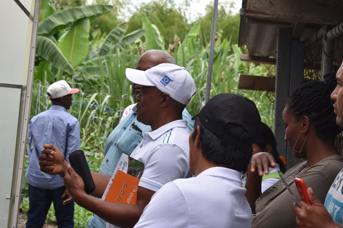 BiovIntCIAT_esp's tweet photo. 🌱Productores de agricultura familiar de Jamundí visitaron esta semana nuestro campus. Recibieron capacitación sobre manejo de humedad de suelo en el marco del proyecto Digitalización de la Agricultura de pequeña escala y sobre  cultivos biofortificados por @LACHarvest 🫘. https://t.co/JE75M5NVjU