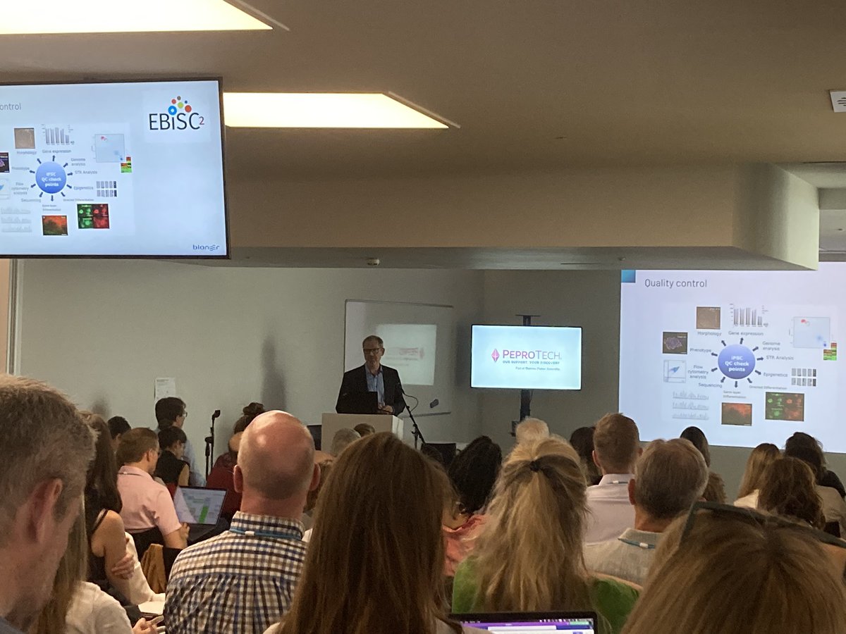 Luisa Lemos tweet media