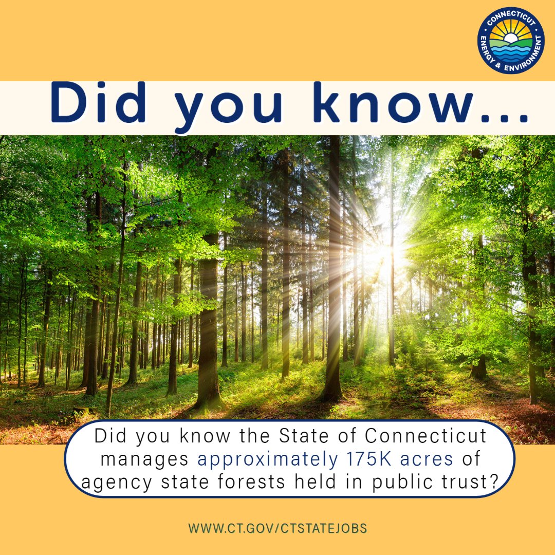 CTStateJobs's tweet photo. Happy Arbor Day! @CTDEEPNews is committed to the advancement and protection of our state’s natural resources – including our forests!
Check out our seasonal openings: https://t.co/q331IFNqEk
#CTjobs #CTDEEP #ArborDay https://t.co/TtTFDKDPm8