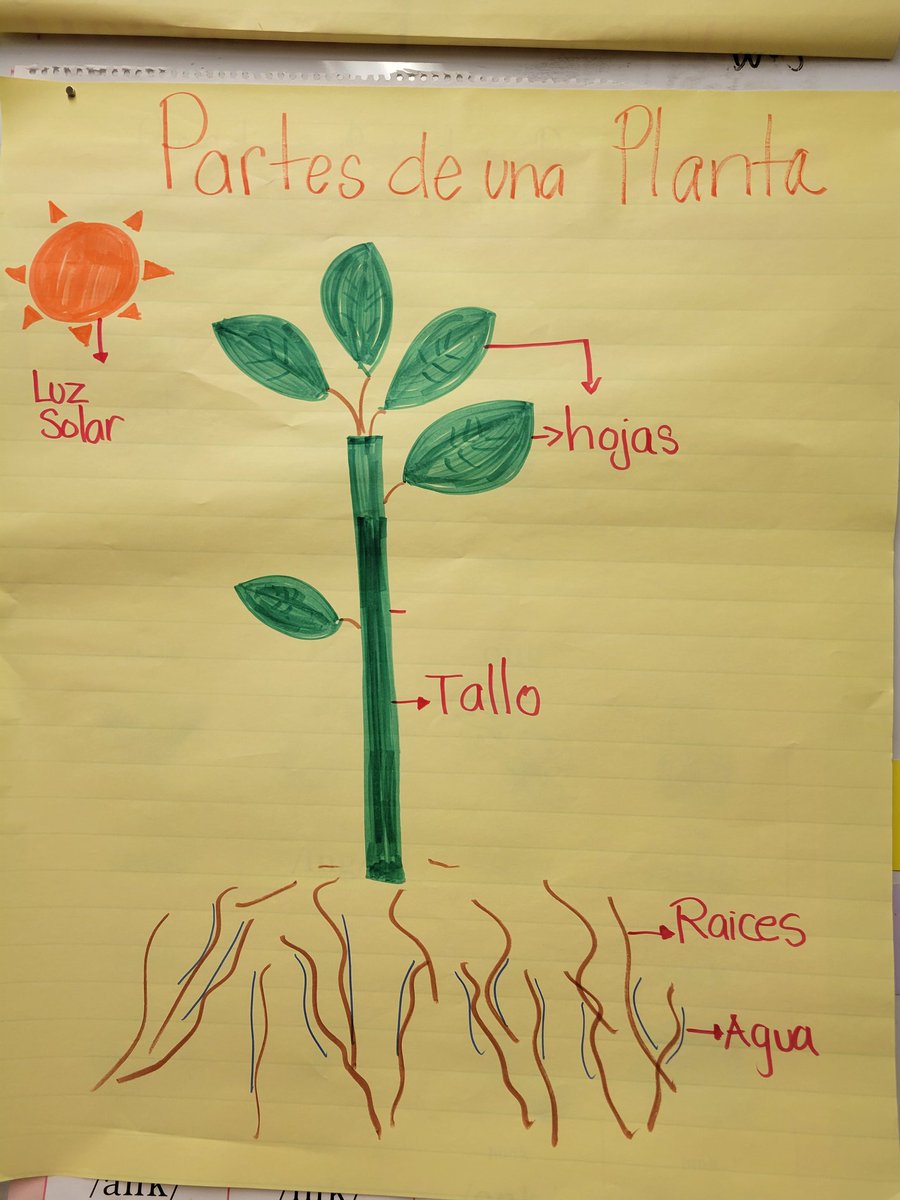 HeyBccs's tweet image. BCCS finished the Friday on a fun, phonological, and high note! @CommunitySupt16 @D16LEADS @NequanMclean @CMChiOsse @stefanizinerman @JabariBrisport