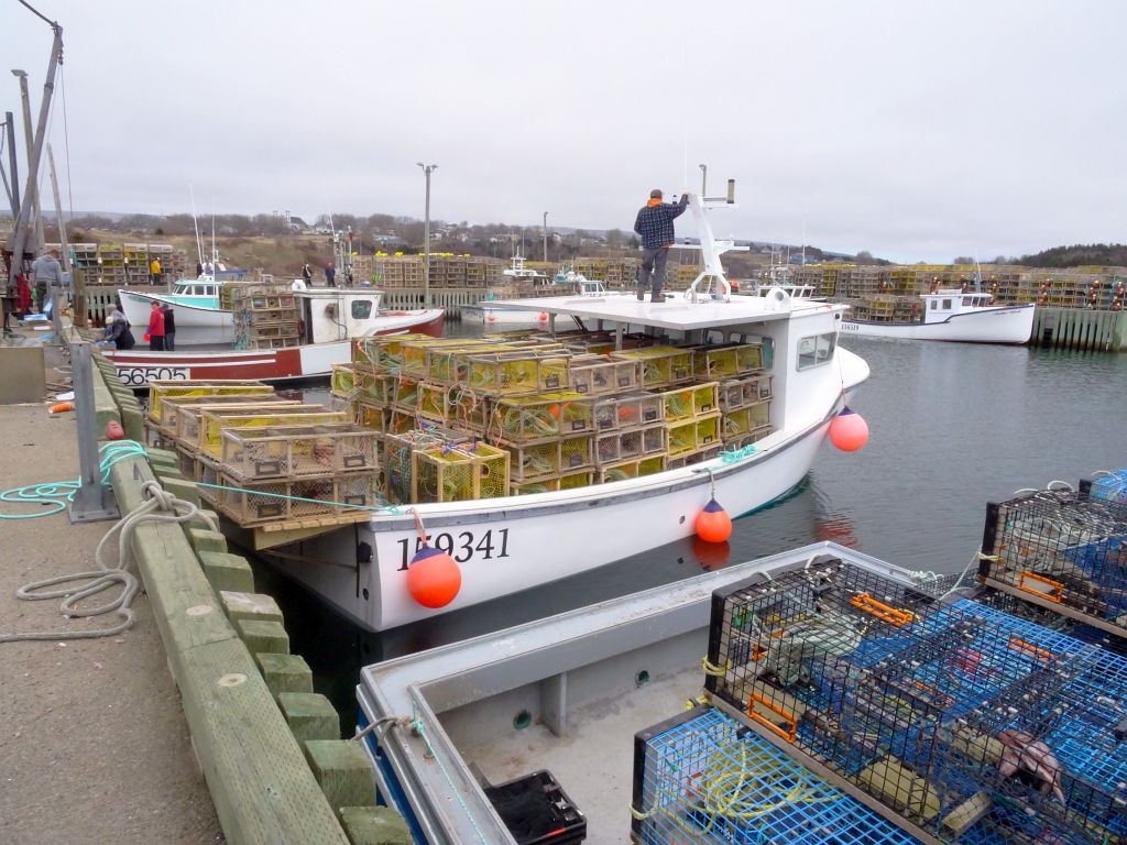 Setting day tomorrow at Inverness.

All baited and loaded up and ready to go.

God protect the fishers as they launch out upon the ocean. #Lobster #fishers #CapeBreton @HeatherRankinMe @KMacTWN @KalinMitchelCTV @ryansnoddon @AlyseHand @paigemacp @straightclimbi1 @CindyDayWeather