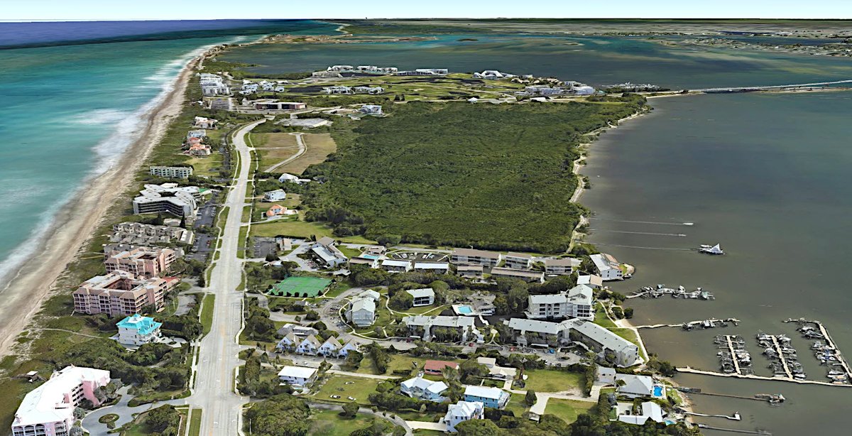 TheFlooringGirl tweet media