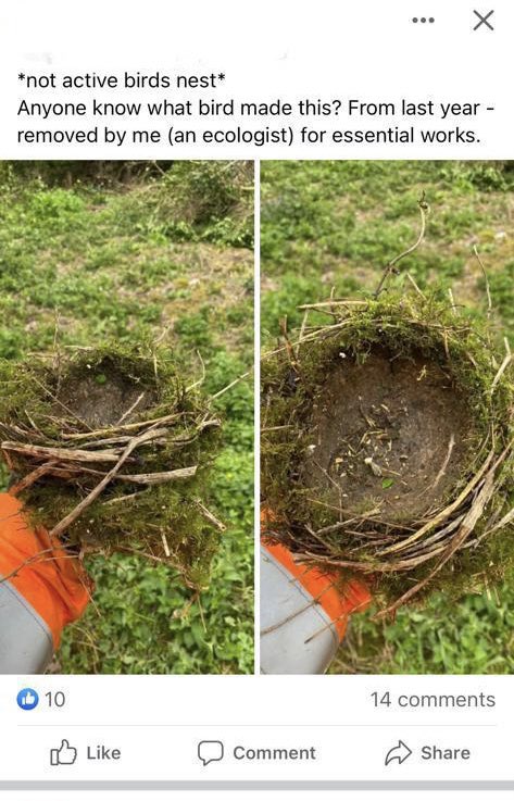 Aurora #LicencedBirdRinger on Twitter: "So you don’t even know the