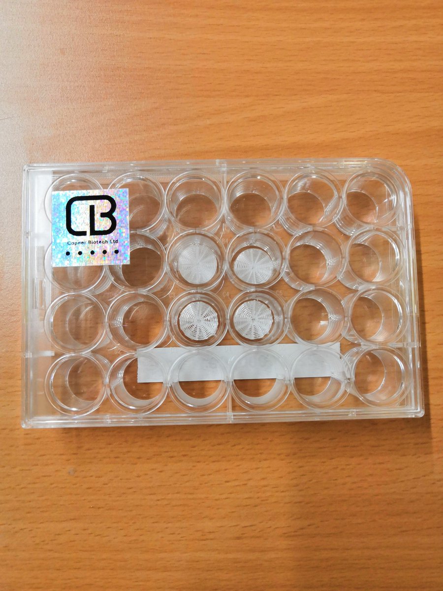 CCCU-LifeSciencesLab tweet media