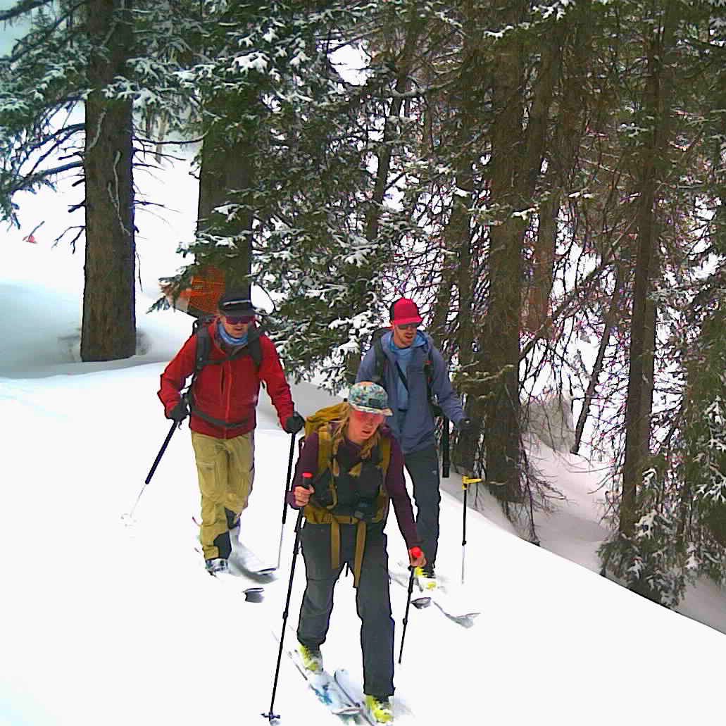 RE: Cardiff Updates
"The permit expired, which means that the claim owners cannot legally access their land using snowmobiles or trucks/OHV’s, and it also means that they have the ability to deny access to adjacent public lands.”  

<a href="/WasatchBCAlli/">Wasatch Backcountry Alliance</a> #WeLoveCardiff #BackCountry