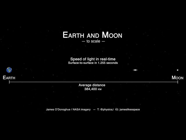 BoredMooseAssClub (@boredmooseac) on Twitter photo 