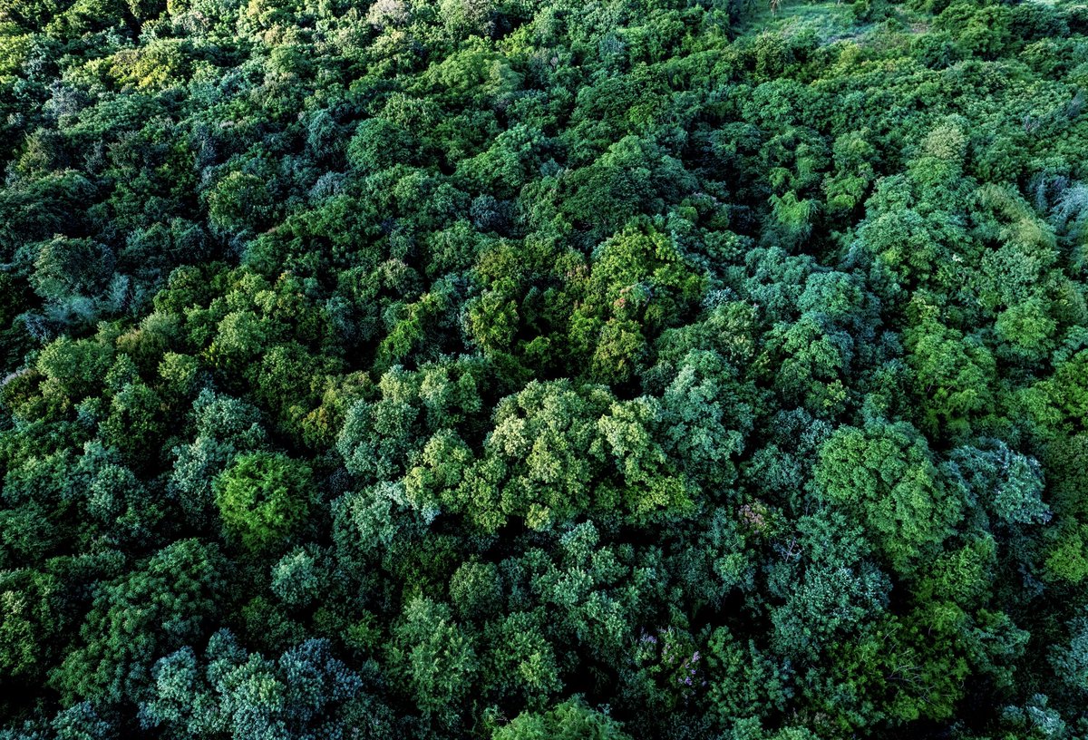 GreenLabBiotech's tweet photo. Estamos preparados para suplir cada necesidad de nuestro cliente, bajo un concepto vanguardista y enfocado en la tecnologización de la producción de plantas agrícolas, forestales y ornamentales.
Conoce nuestro proyecto en https://t.co/GW9DzTgoxB
#GreenLabBiotech #Panamá #Plantas https://t.co/8oy696Y4LK