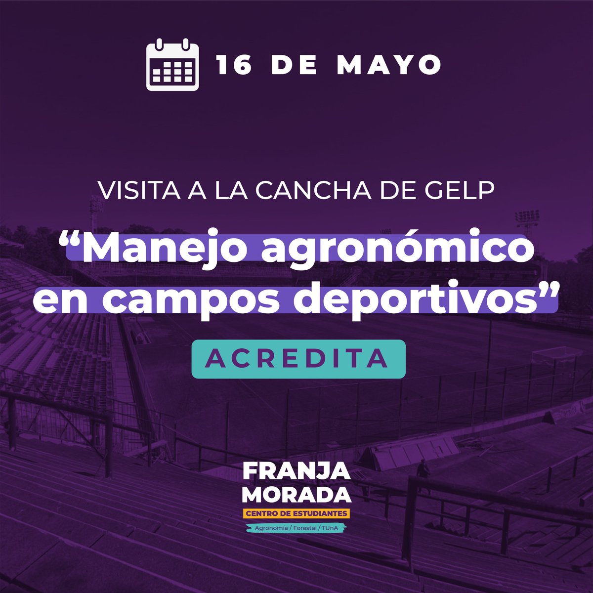 CEAF Franja Morada tweet media