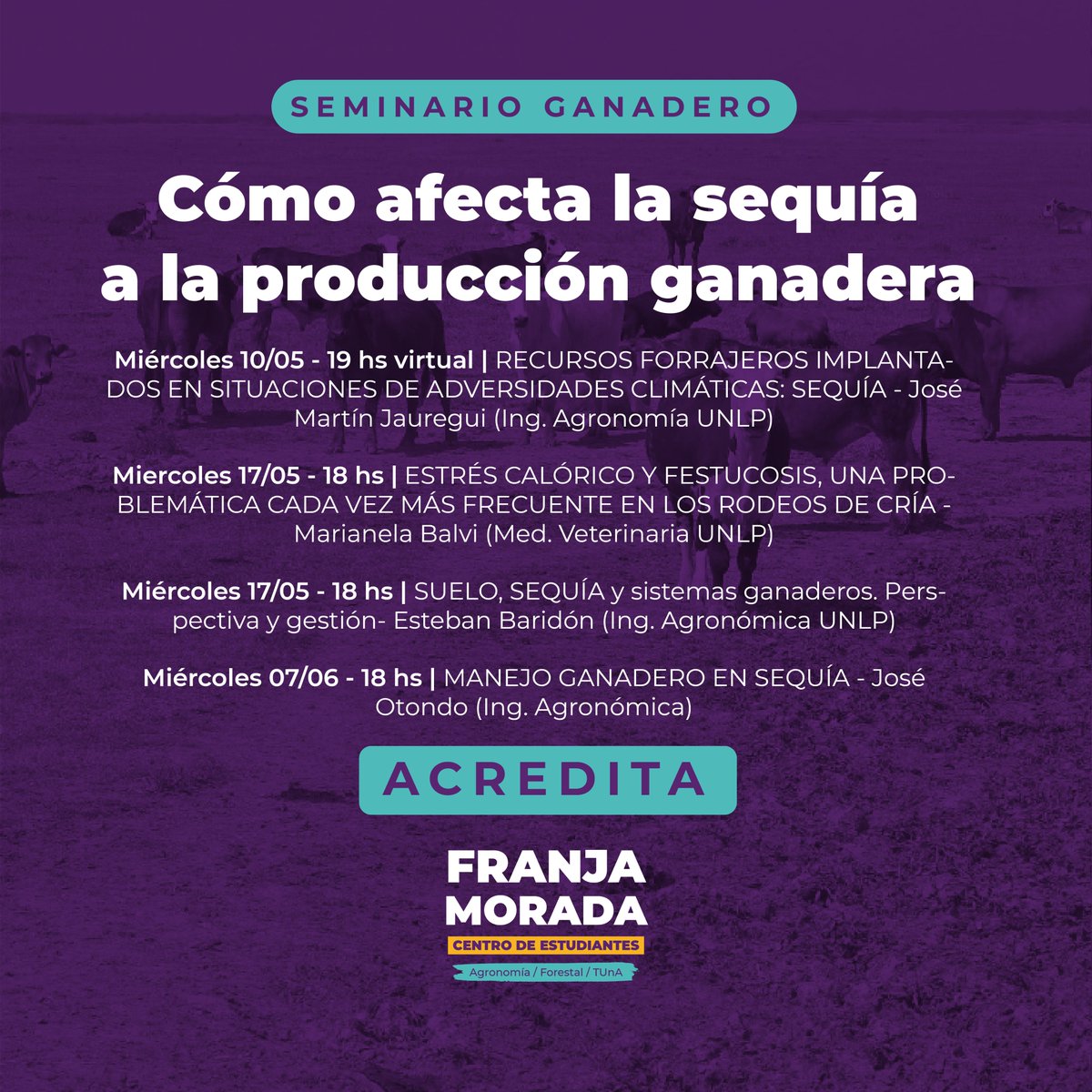 CEAF Franja Morada tweet media