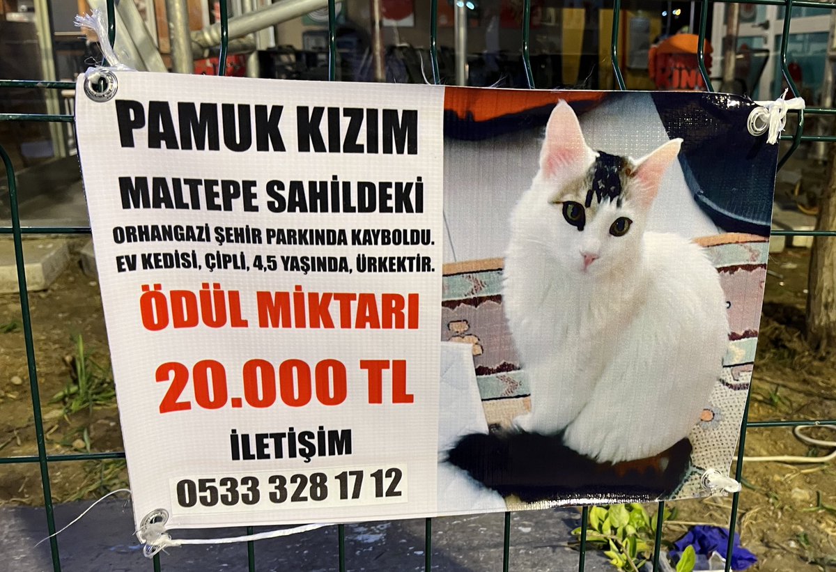ozgeyuksl's tweet photo. İstanbul Maltepe’de gördüm bu ilanı çok üzüldüm ya https://t.co/LCgRAgcJn5