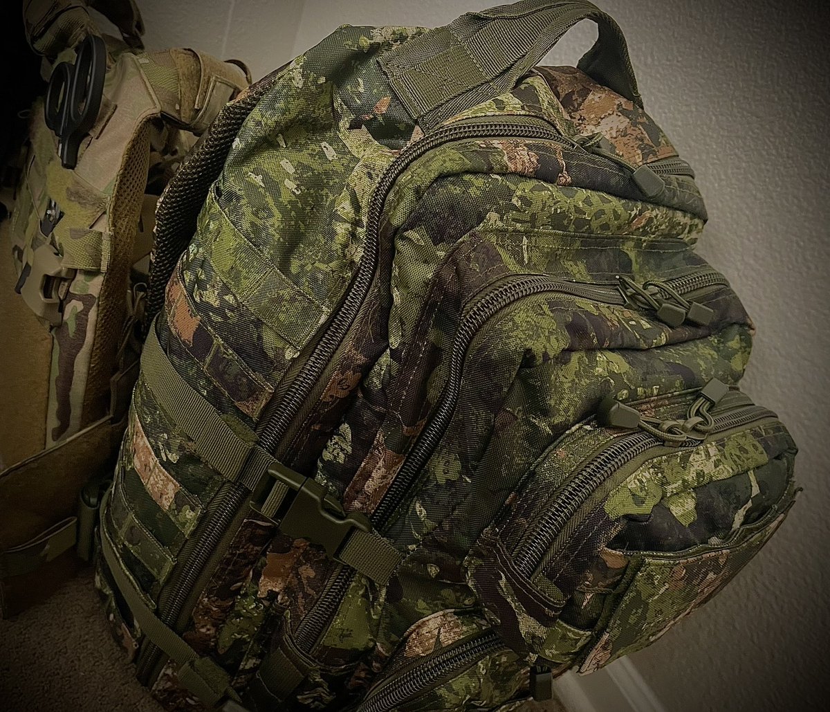 CapybaraDizzy's tweet photo. Go give these guys a follow. And if you want a good quality assault pack for a VERY reasonable price go get one of these bad boys from @amerpipedream https://t.co/dtg0o3Pkd0