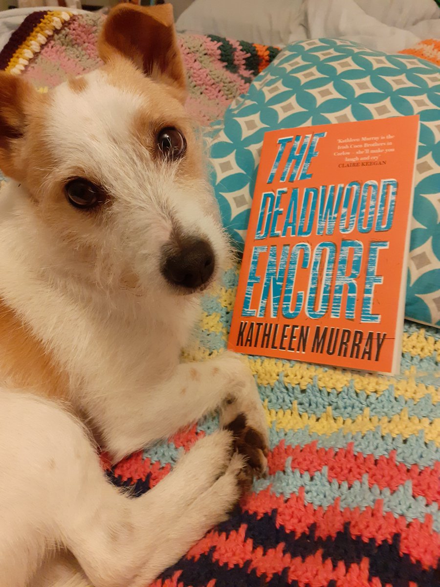 KathleenMurrayE's tweet photo. Happy 1st Birthday Deadwood Encore! To celebrate I'm giving away a free EmmyLou with every copy sold today. Picture is of her face when I told her.
#TheDeadwoodEncore #parsonterrier #carlow https://t.co/Hy7vGEytzg