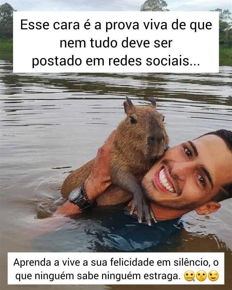 Capivara agiota após ser esmagada por prensa, perde todos os pelos da cara  revelando seu verdadeiro rosto. : r/PuddingsUtopia