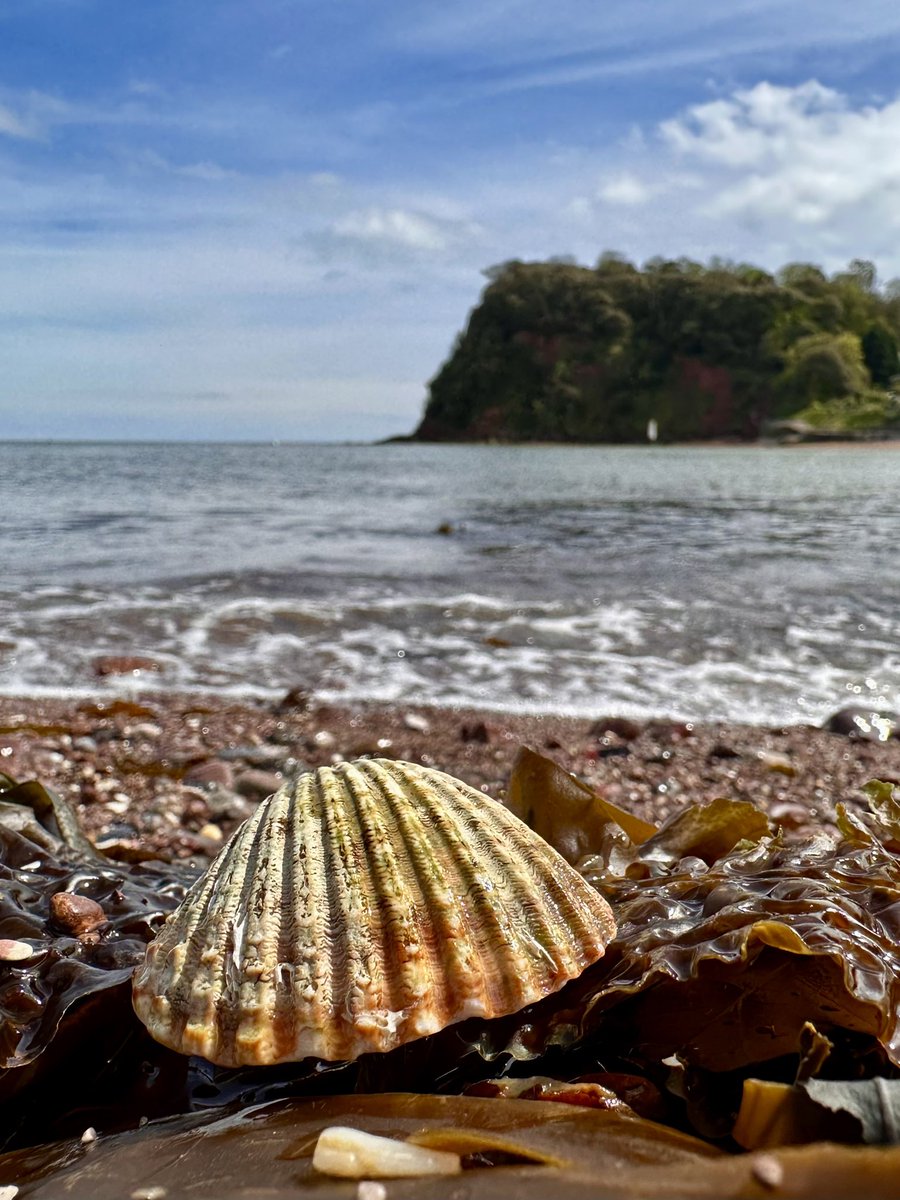 BlithSpirit's tweet photo. Home is where the anchor drops  @PiersSociety @Teignbridge @teignnews @VisitDevon @TeignmouthLove @TeignTourism @TeignmouthPier @TeignHeritage @ClubTeignmouth https://t.co/4Y7wI4Qy8g