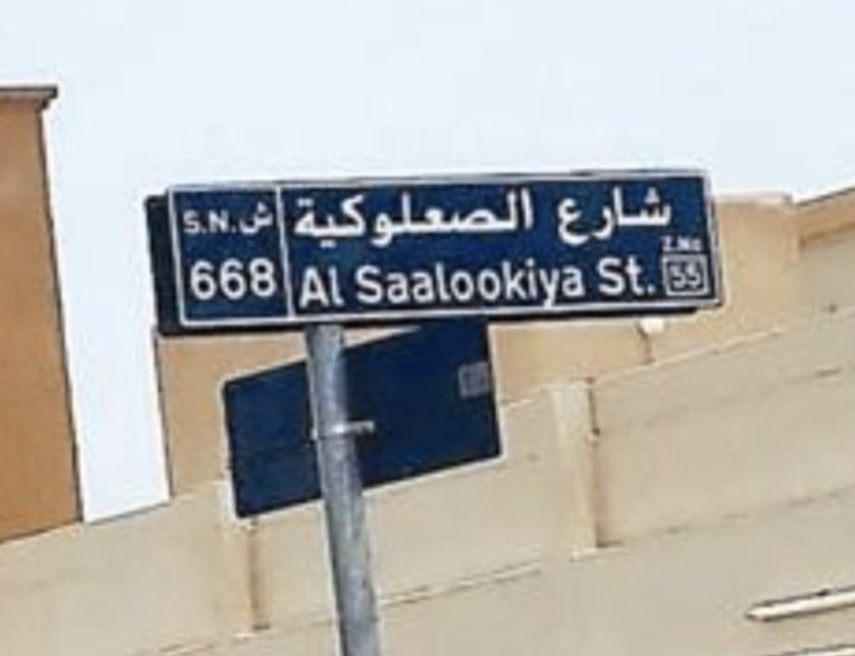 د. سليمان عمر السمّاحي SULAIMAN ALSAMMAHI tweet media