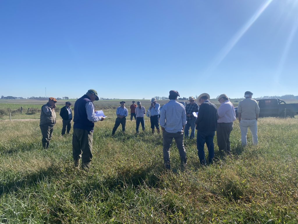 CREA El Aguante. Los números mandan .