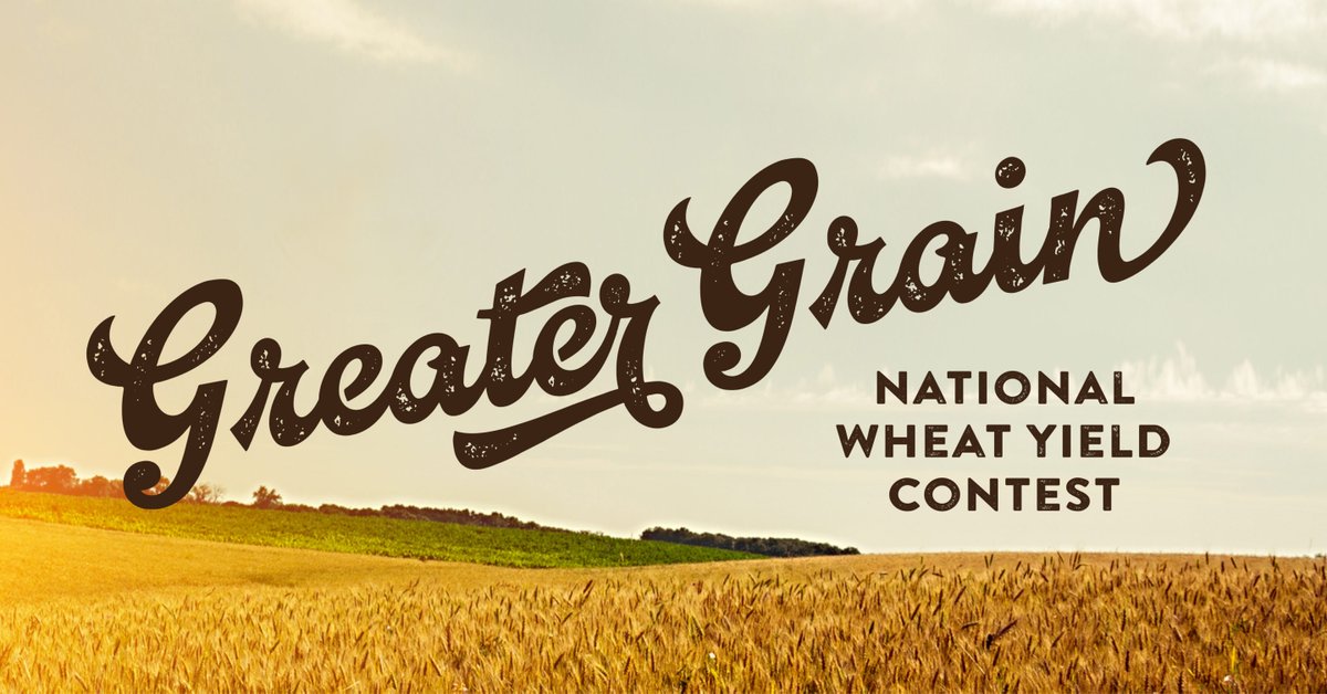 BASFAgProducts's tweet photo. 🌾 Hey #wheat farmers! The @NationalWheat Contest is accepting entries for 2023. Submit your winter wheat by May 15 and spring wheat by August 1. 

List BASF as your seed treatment and/or chemical manufacturer brand, and we'll take care of your entry fees! https://t.co/tqE7zHQ6dv https://t.co/yDAHoyQwX8
