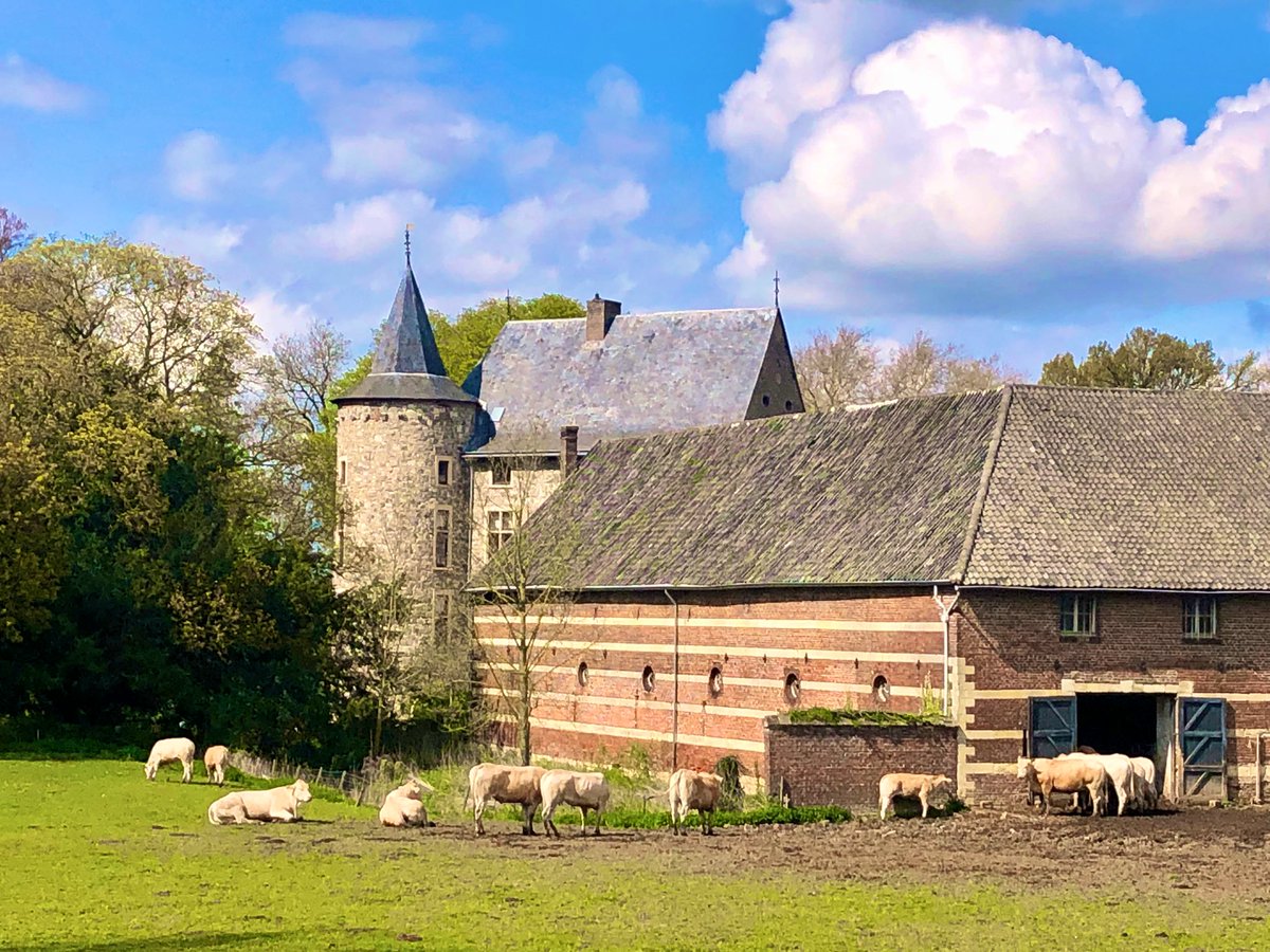 MichielBilstra's tweet photo. Lente in de wei. Ook in @magnifiekZL #Gulpen #Wittem #Reijmerstok #Eperheide https://t.co/TpNlitTvBT