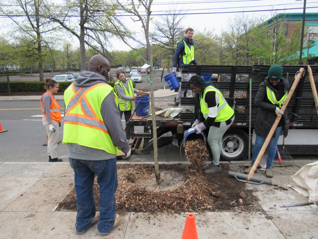 Yale Forestry tweet media