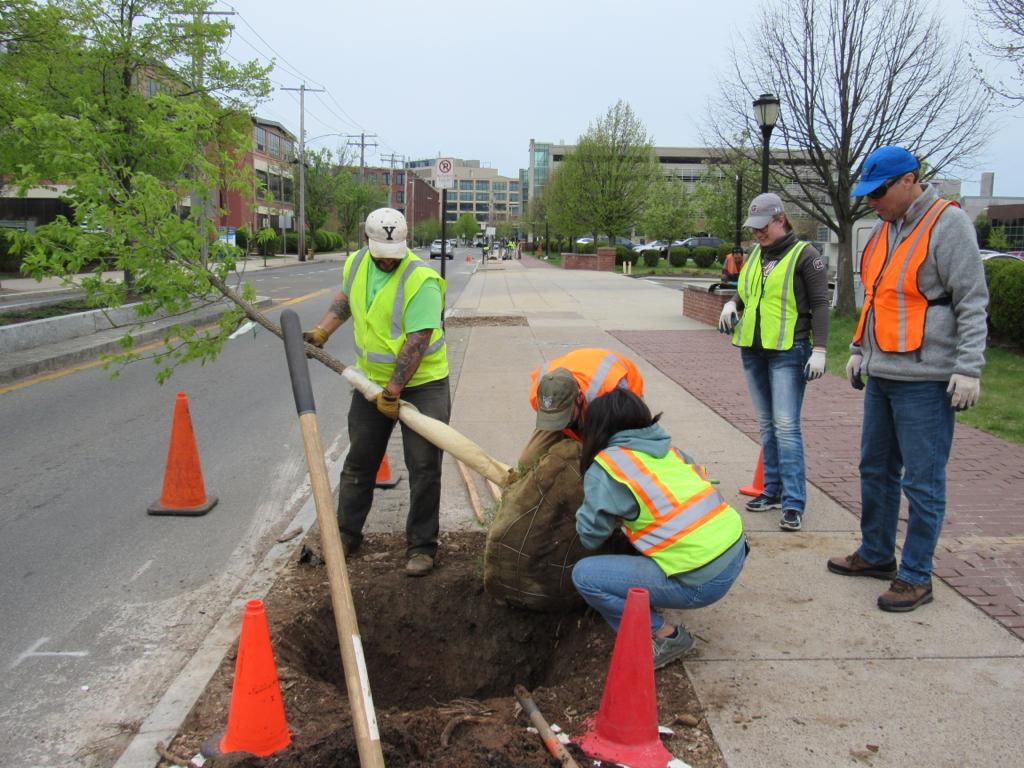 Yale Forestry tweet media