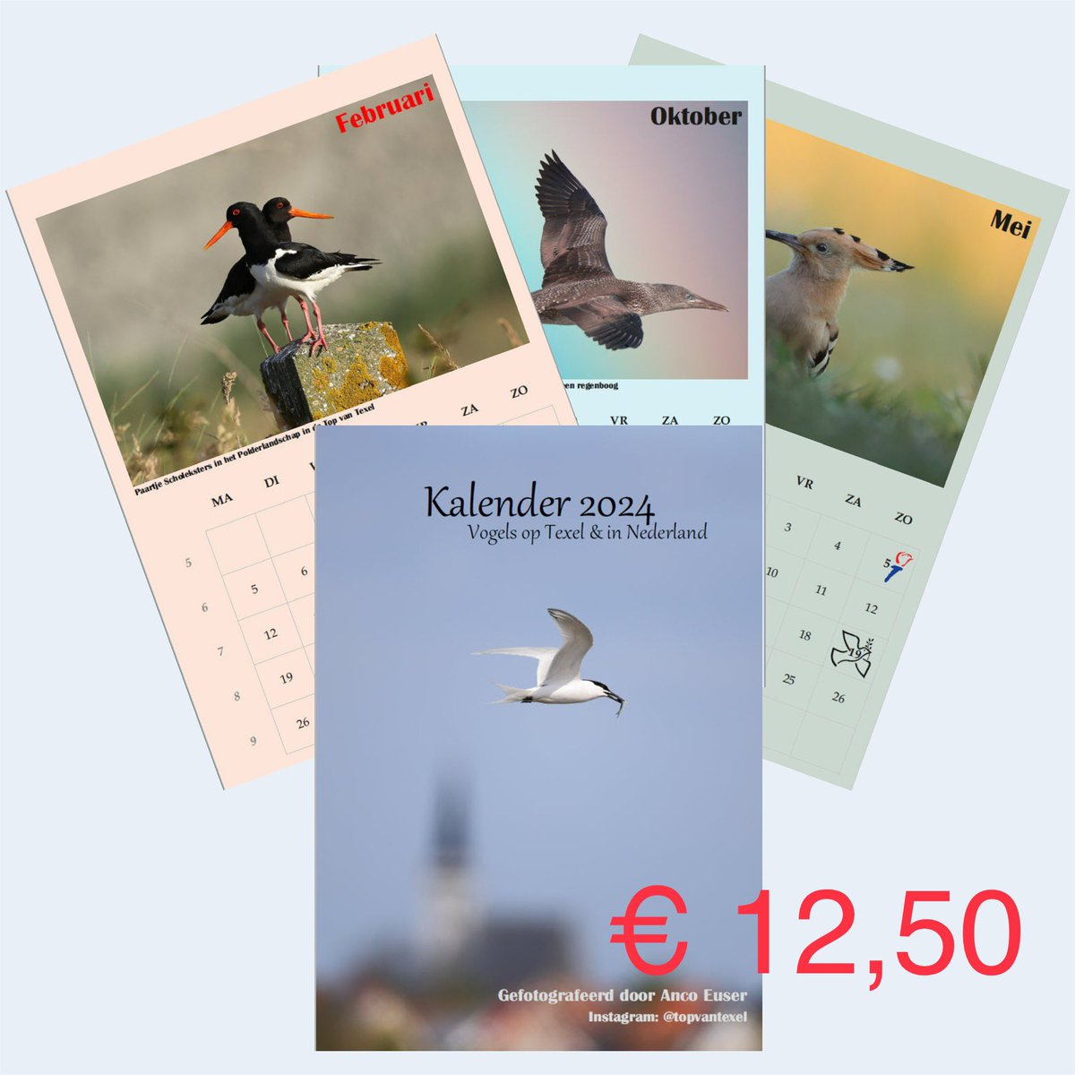 TopvanTexel's tweet photo. Bijna #TexelBigDay! Een wedstrijd om in 24 uur geld op te halen voor #Scholekster &amp; Grote Stern. We hebben unieke items. Vogels blij en u iets moois. 100% naar het Goede Doel. Kopen? Stuur een DM! Prijzen in de foto’s.
#Metalbird, #Sleutelhangers &amp; Kalenders! https://t.co/hSotNpXqzw