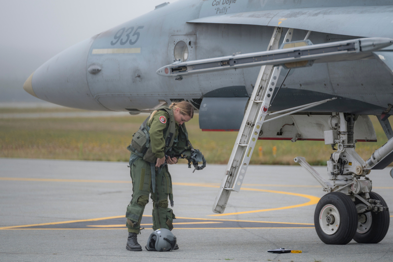 DailyChoices tweet media