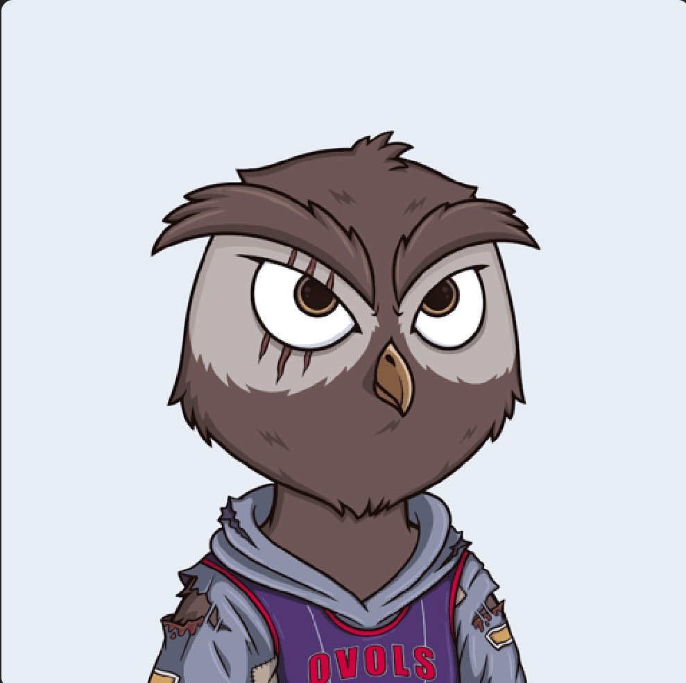 solbigboss_'s tweet photo. Okay looks we having new friends 🤝
Wich one should be a PFP 🖼️
Also do #ovol follow #ovol 👀
@ElixirNFT https://t.co/bPRNFf5f1A
