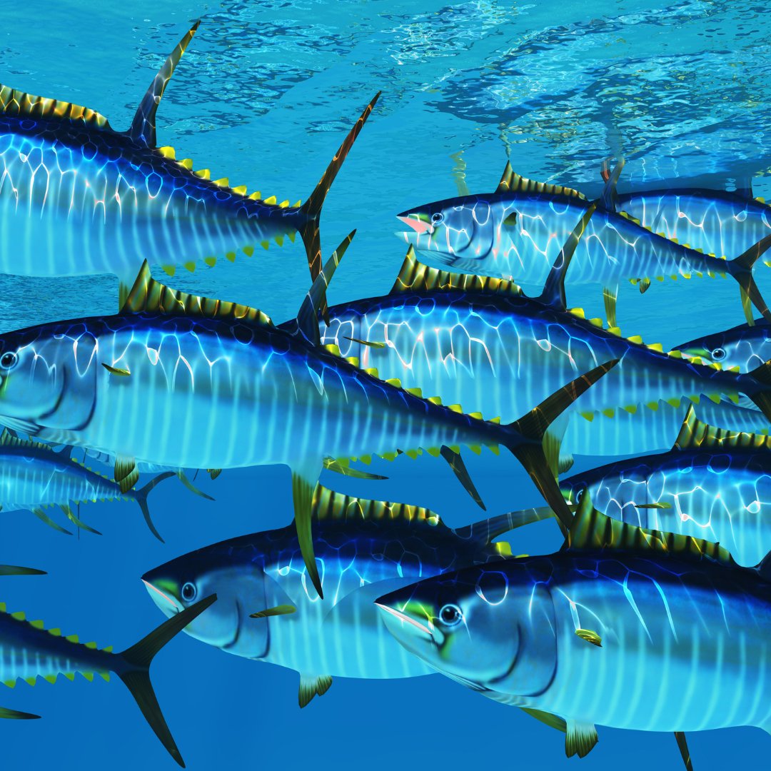 International Institute of Fisheries Econ & Trade tweet media