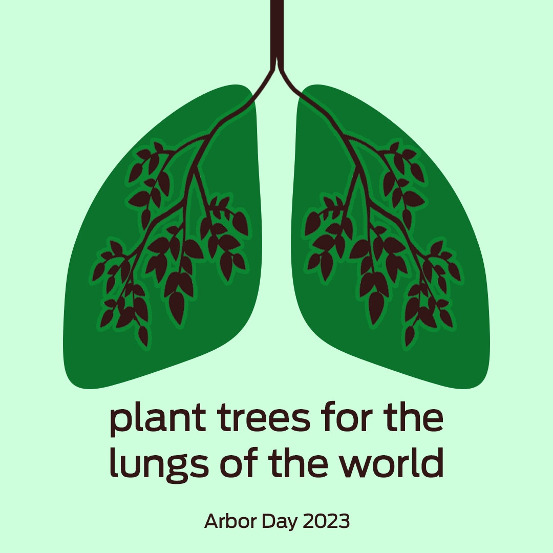 NURecreation's tweet photo. Happy Arbor Day, Wildcats! Make sure to take some time today to appreciate all of the trees we have on our beautiful campus 🪴🌳🍃

#nurecreation #arborday #arborday2023 #hcsp #brc #norris #northwestern #northwesternuniversity #evanston #nu2023 #nu2024 #nu2025 #nu2026 #nu #gocats https://t.co/9tcMmZPyVj
