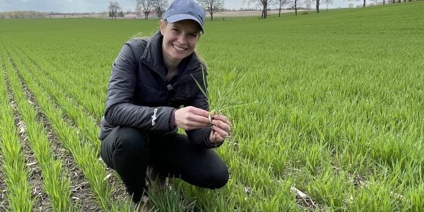 realagriculture's tweet photo. Wheat School: Timing a PGR application in #winterwheat w/ @syngentacanada agronomist @MarijkeeeVA https://t.co/W852Z9pbAn #cdnag #ontag #westcdnag #WheatSchool @AlbertaWheat @thewheatteam https://t.co/ihp3Fb1vBd