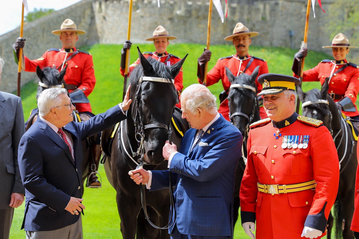 rcmpgrcpolice's tweet photo. Today, former #MusicalRide horse 🐴 Noble was officially presented to His Majesty King Charles III by RCMP Commissioner Mike Duheme, representatives from the Musical Ride as well as the HC @RalphGoodale 📷: High Commission of Canada, UK https://t.co/yMzT4pA89N
