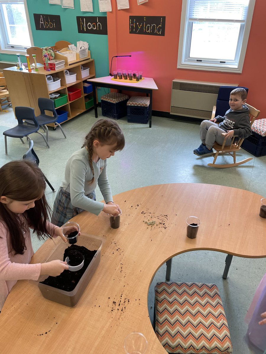 Ms. Mitchell tweet media