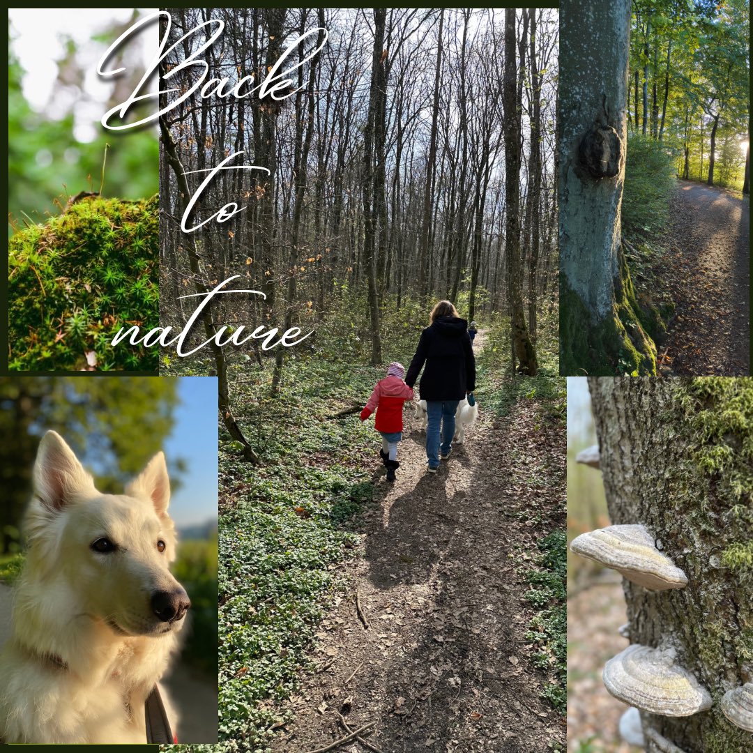 pattyattitude's tweet image. #nature #familyblog #naturblog #familycommunity #momblog #momlife #kidsblog #dogblog #dogcommunity 🥰