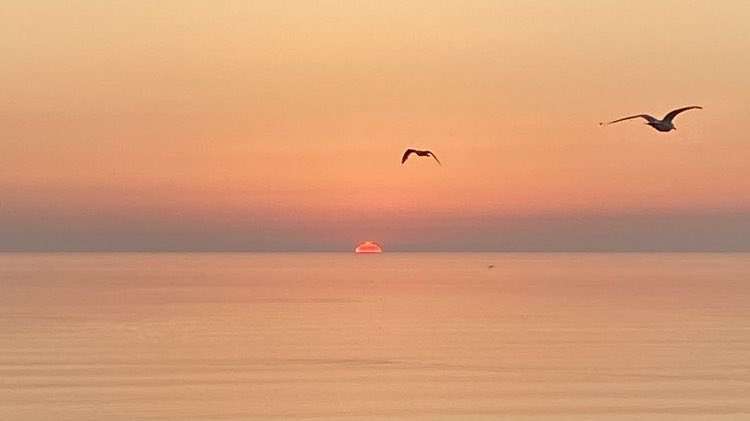 300moods's tweet photo. let’s watch the sunset by the beach https://t.co/7I4CDLGASa