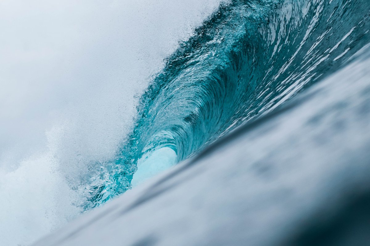 MissionBlue's tweet photo. "No ocean, no life. No blue, no green. The living ocean, not just rocks and water, make the world habitable. If we fail to protect the ocean, nothing else matters." @SylviaEarle 

Photo by Jeremy Bishop https://t.co/a6srV92w89