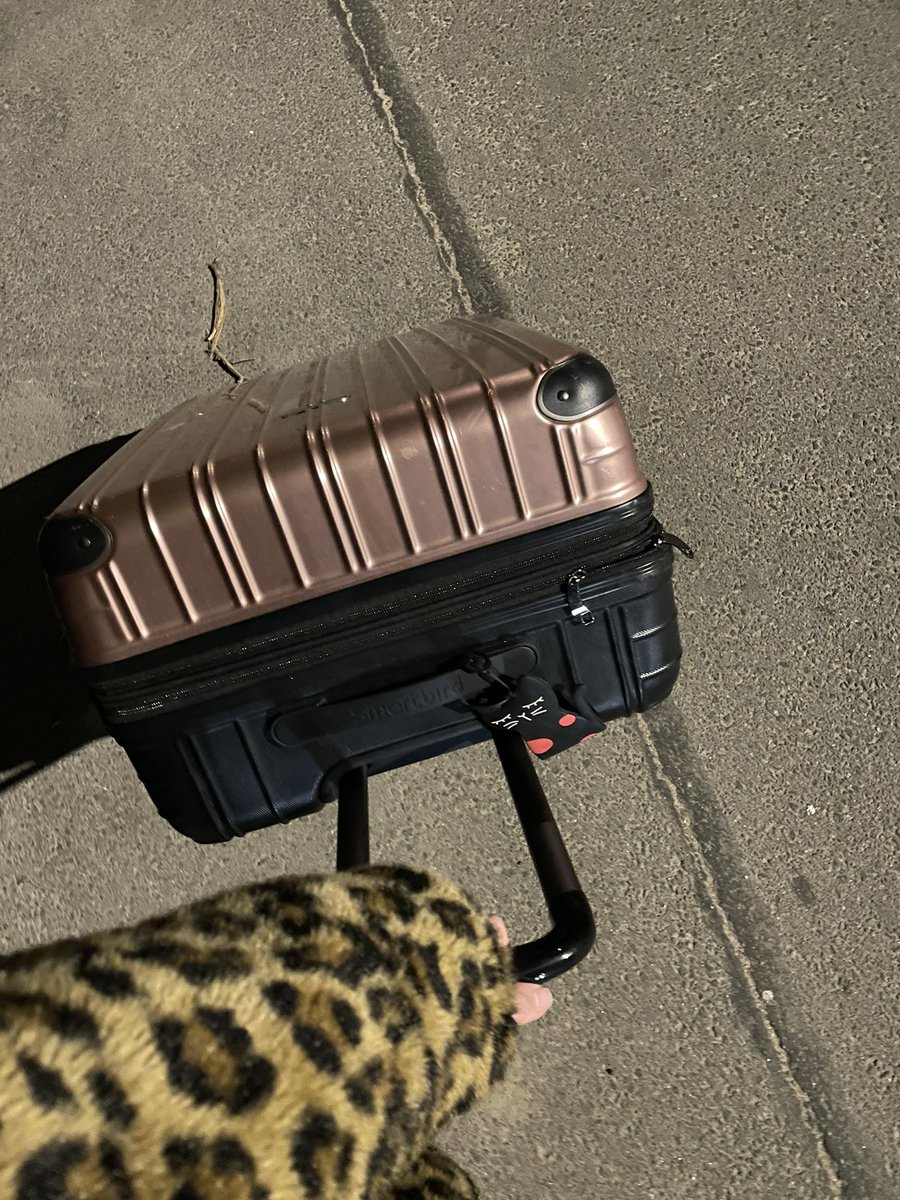 ramios_avys's tweet photo. I’m the happiest &amp; most motivated when I hold my suitcase. Must mean something. https://t.co/7fNVa8MLrf