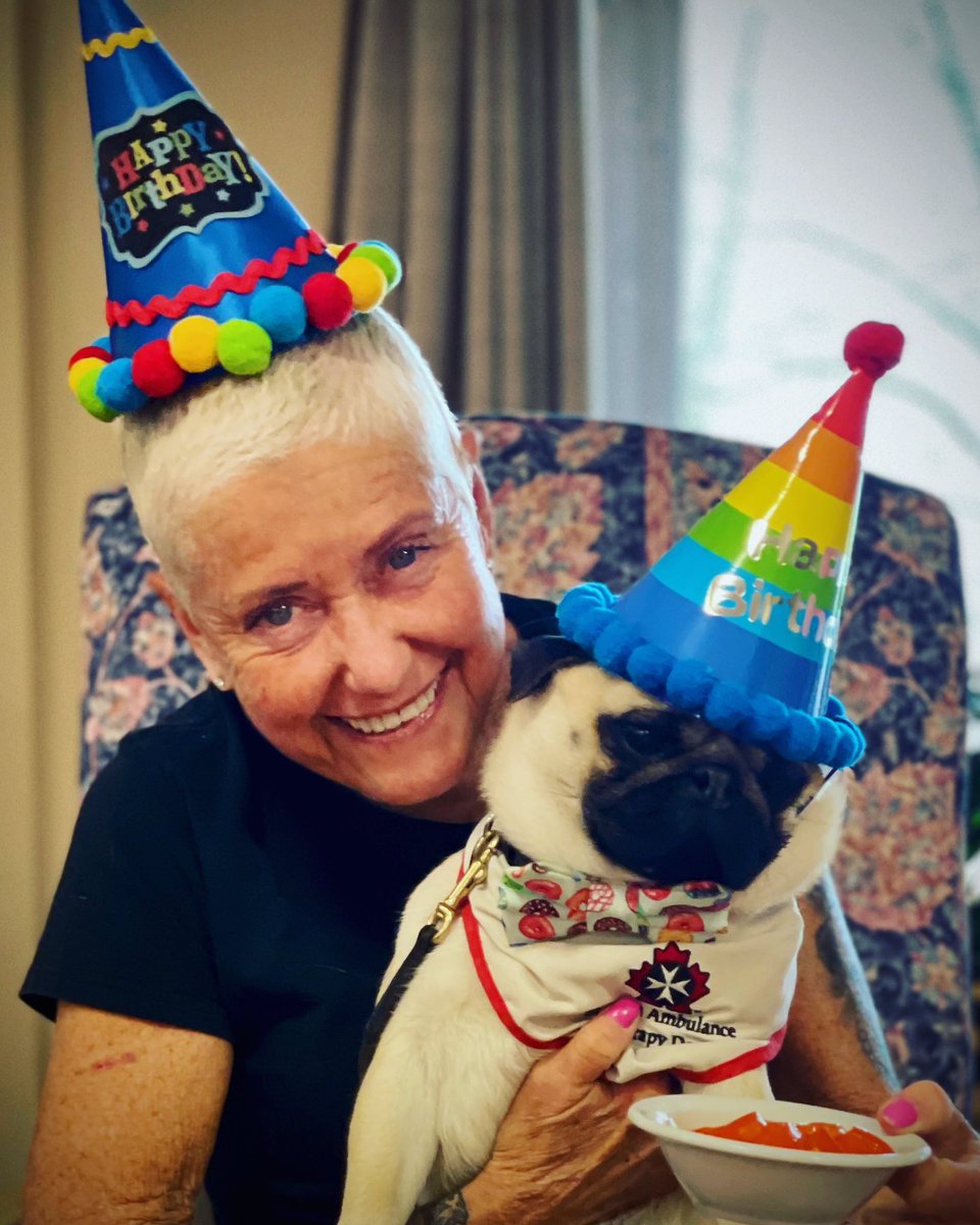 IgorPugDog's tweet photo. Celebrated Mom’s birthday with the #SistersofStJoseph and JELLO! It a tradition with all of us therapy pugs ❣️ ~ Lil C 

#pug #therapydog  #ldnont #happybirthday #pugMom @LdnTherapyDogs https://t.co/hWOuhGI1zG