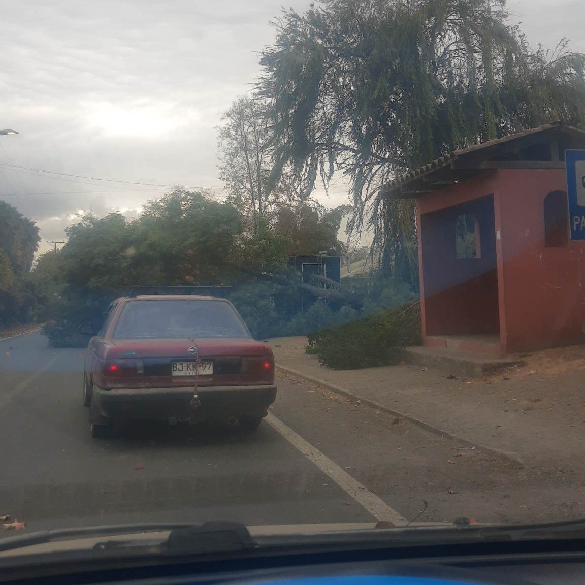 RT @vlnradio 🔴 [#UrgenteVLN] Fuentes vientos provocaron caída de árbol en Ruta J-665, sector El Maitén, camino a Los Castaños, Los Niches de #Curicó. Tránsito con precaución.